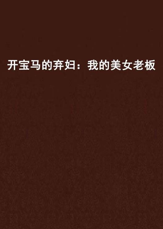 开宝马的弃妇：我的美女老板