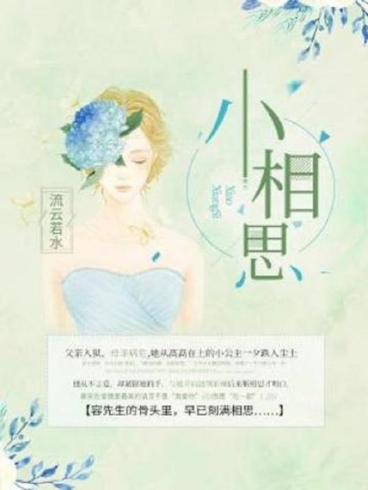 小相思（作家流云若水所著小说）