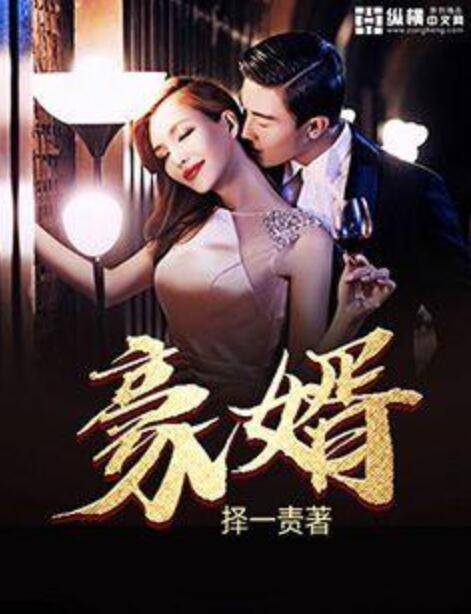豪婿（择一则著网络小说）