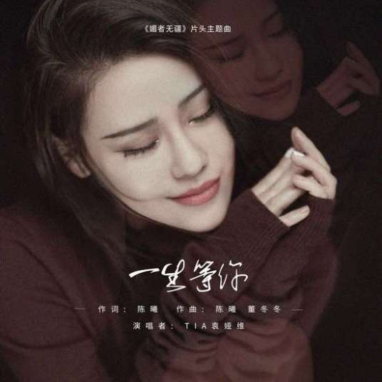 一生等你（袁娅维演唱的歌曲）