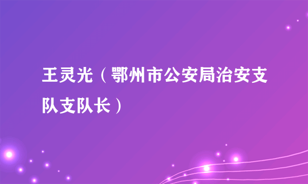王灵光（鄂州市公安局治安支队支队长）