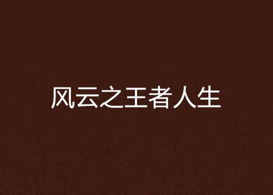 风云之王者人生