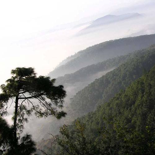 鄱阳狮子山