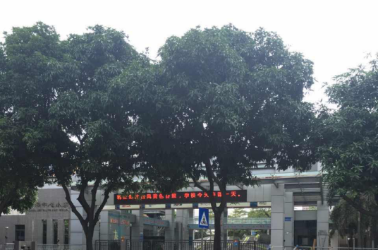 南海中心小学