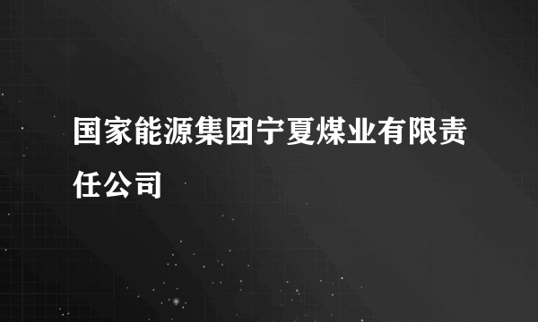 国家能源集团宁夏煤业有限责任公司
