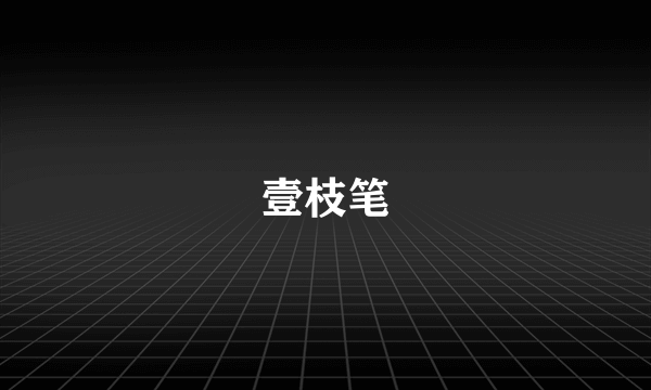 壹枝笔
