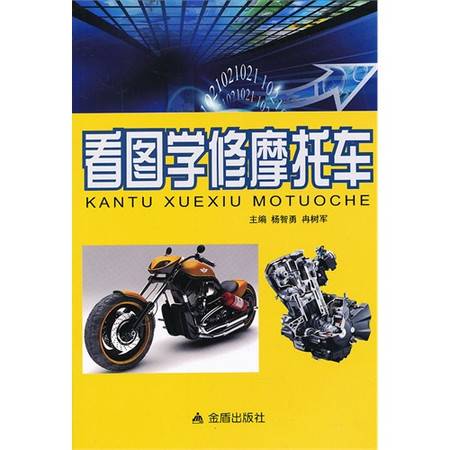 摩托车修理入门与技巧