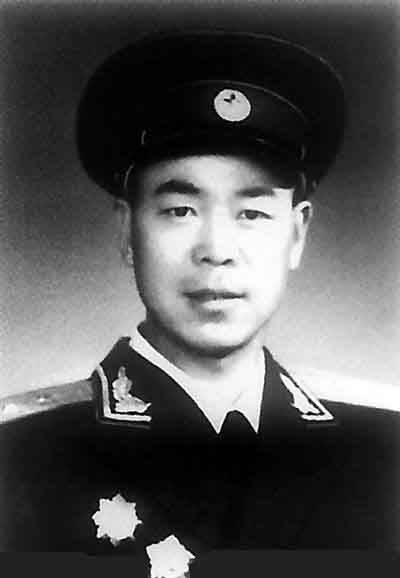岳振华