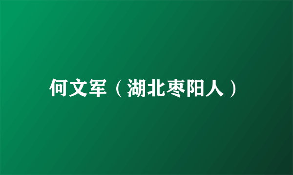 何文军（湖北枣阳人）