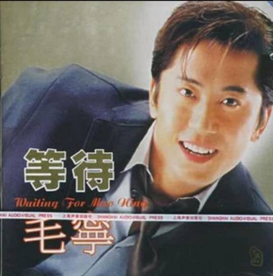 糊涂（毛宁《等待毛宁》专辑中的歌曲）