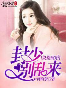 染指成婚：封少别乱来