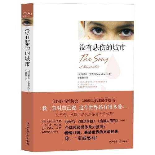 没有悲伤的城市（2009年陕西师范大学出版社出版的图书）