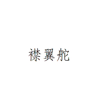 襟翼舵