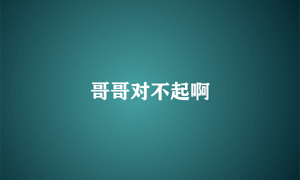 哥哥对不起啊