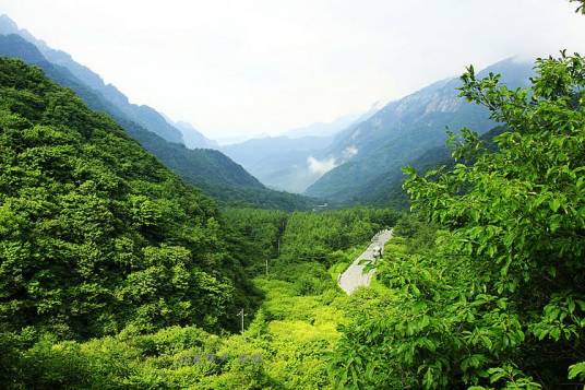 西安鲸鱼沟竹海风景区
