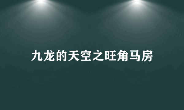九龙的天空之旺角马房