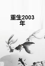 重生2003年