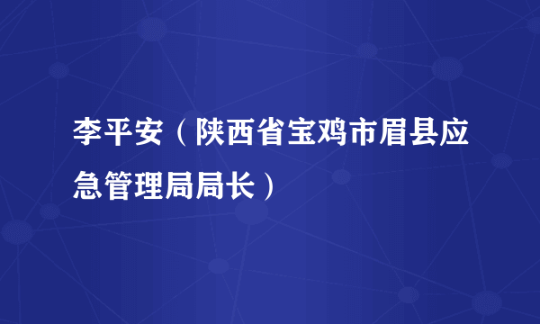 李平安（陕西省宝鸡市眉县应急管理局局长）