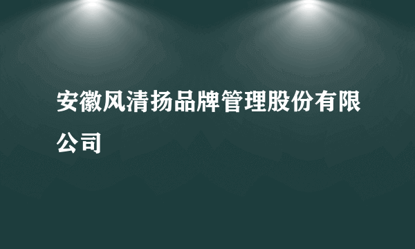 安徽风清扬品牌管理股份有限公司