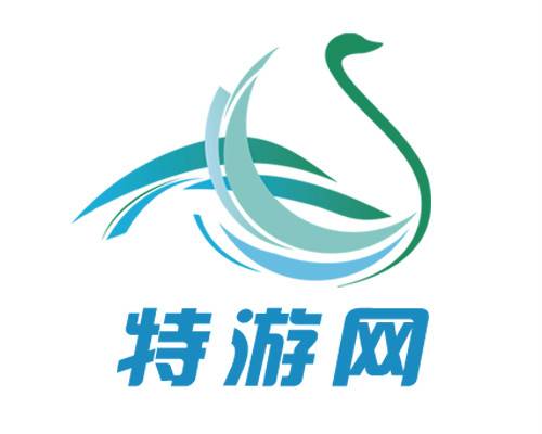 深圳市特游网文化技术有限公司