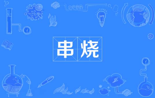 串烧（网络流行词）