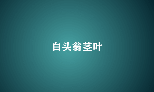 白头翁茎叶