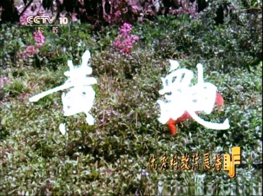 黄鼬（1977年吴纯一执导的纪录片）