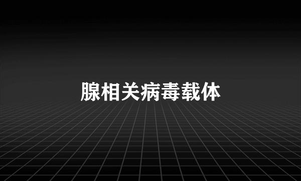 腺相关病毒载体