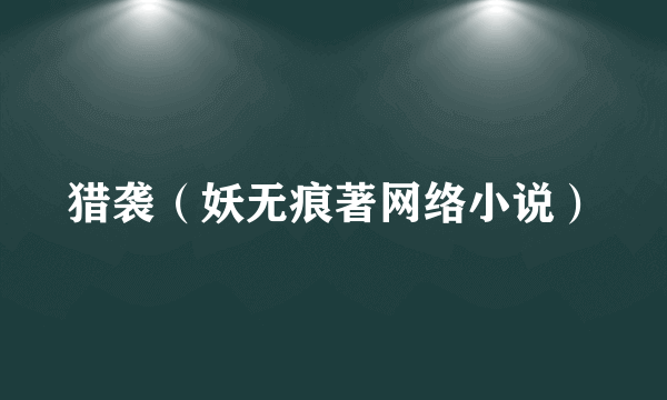猎袭（妖无痕著网络小说）