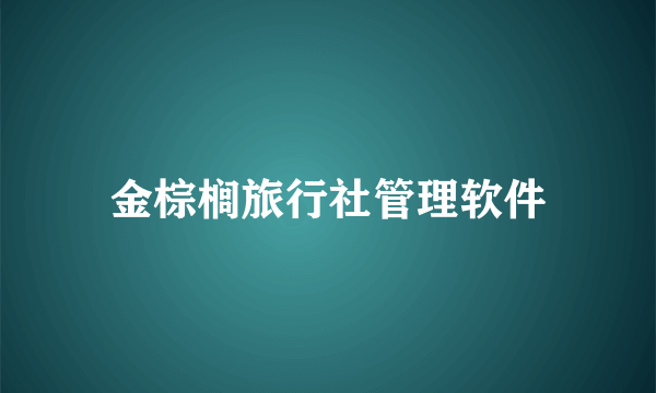 金棕榈旅行社管理软件