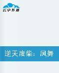 逆天废柴：凤舞苍穹