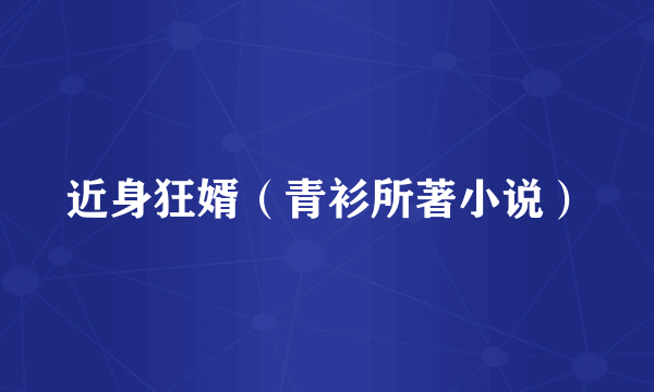 近身狂婿（青衫所著小说）