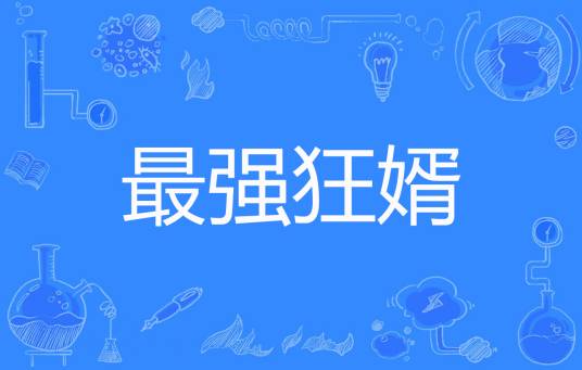 最强狂婿（风烟净著网络小说）