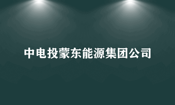 中电投蒙东能源集团公司