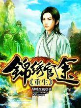 重生：锦绣官途