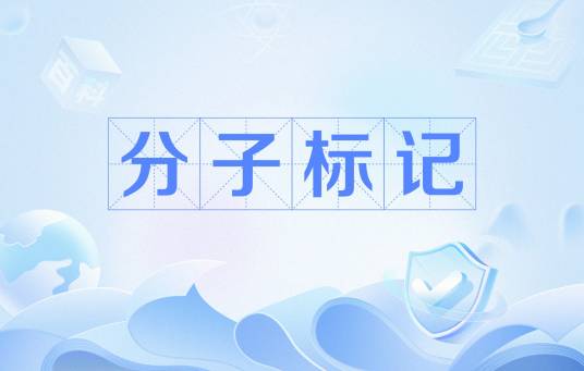 分子标记