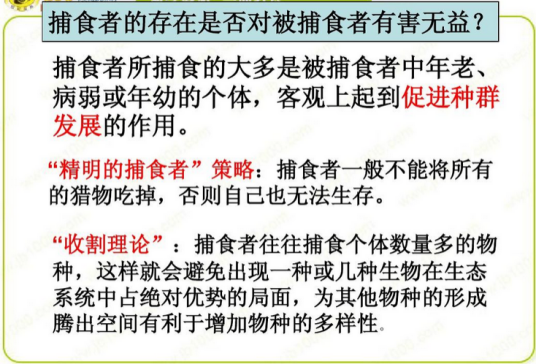 收割理论