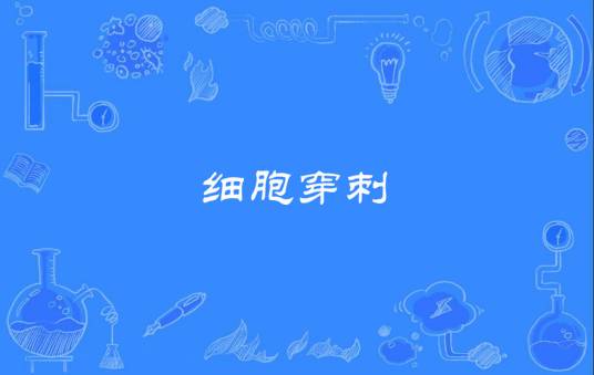 细胞穿刺