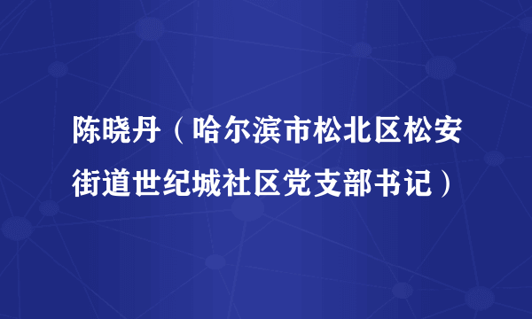 陈晓丹（哈尔滨市松北区松安街道世纪城社区党支部书记）