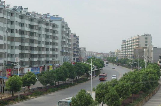 泽林街