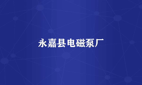 永嘉县电磁泵厂