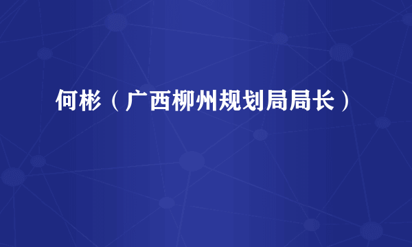 何彬（广西柳州规划局局长）