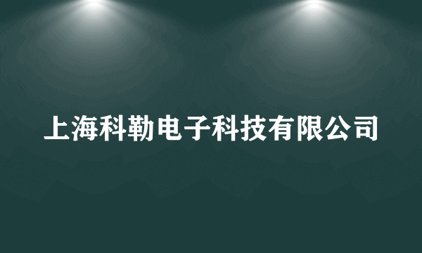 上海科勒电子科技有限公司
