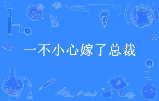 一不小心嫁了总裁（豆豆所著小说）