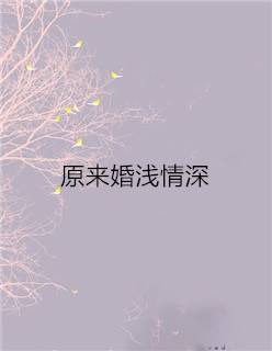 原来婚浅情深（落锦著网络小说）