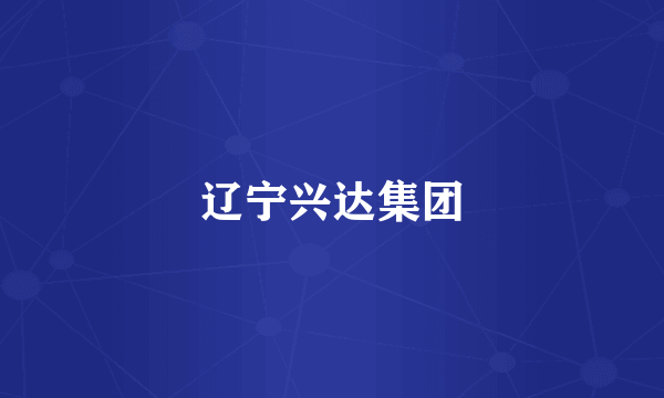 辽宁兴达集团