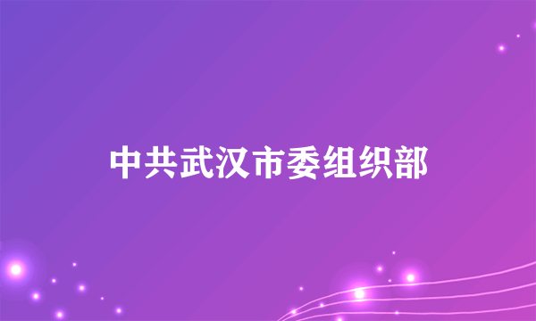 中共武汉市委组织部