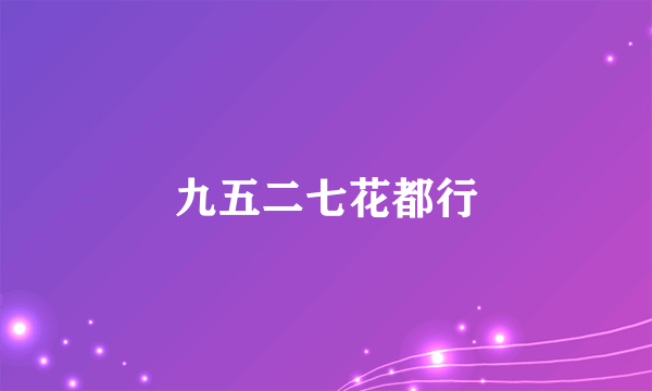 九五二七花都行