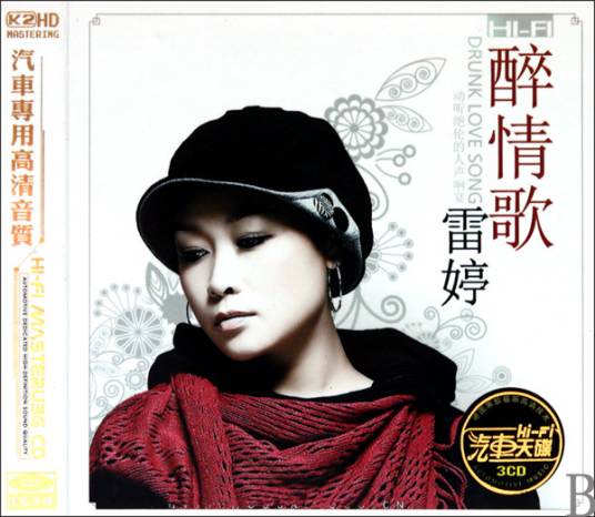 摘下满天星（2008年雷婷演唱歌曲）