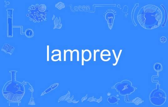 lamprey